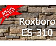 Roxboro ES 310